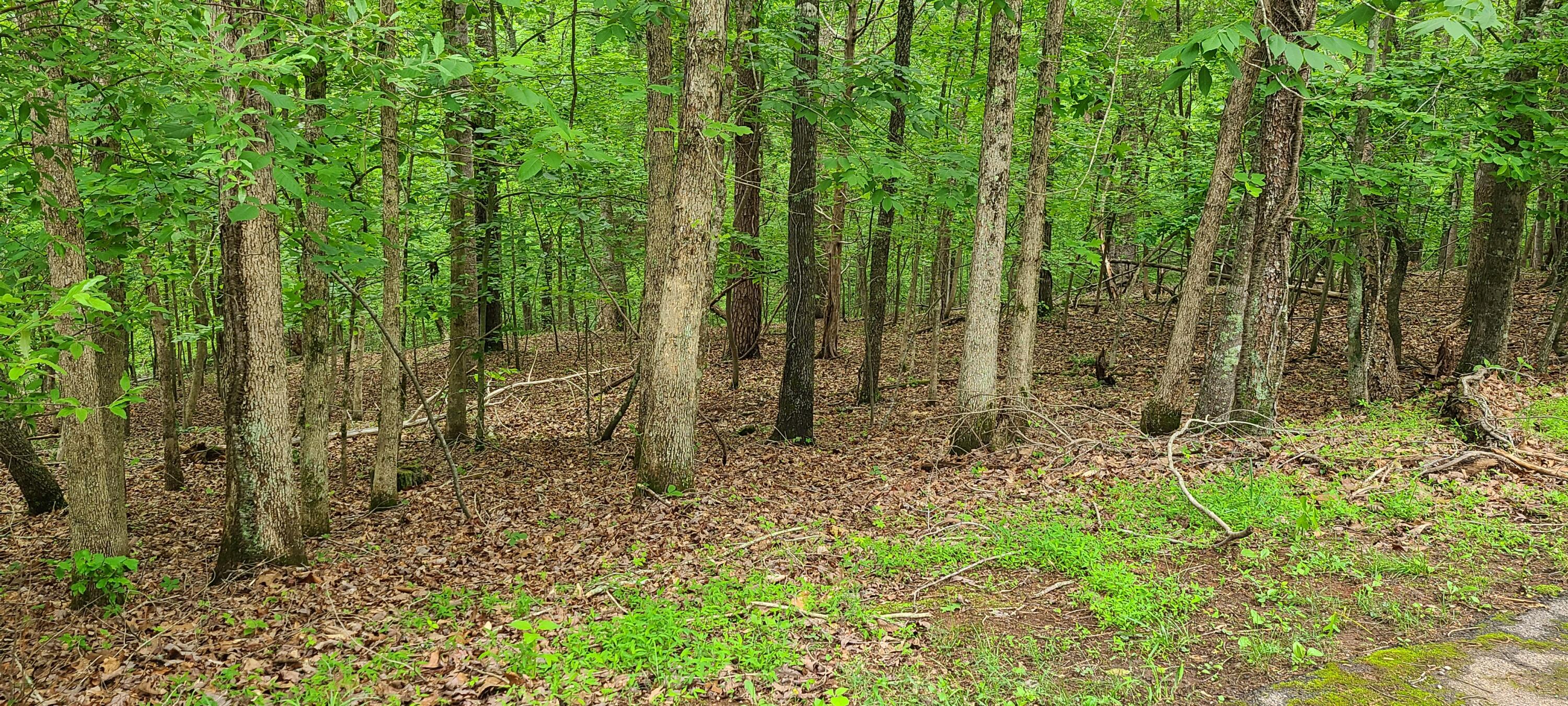 Lot 54 Old Barn Rd, Moneta, Virginia image 6