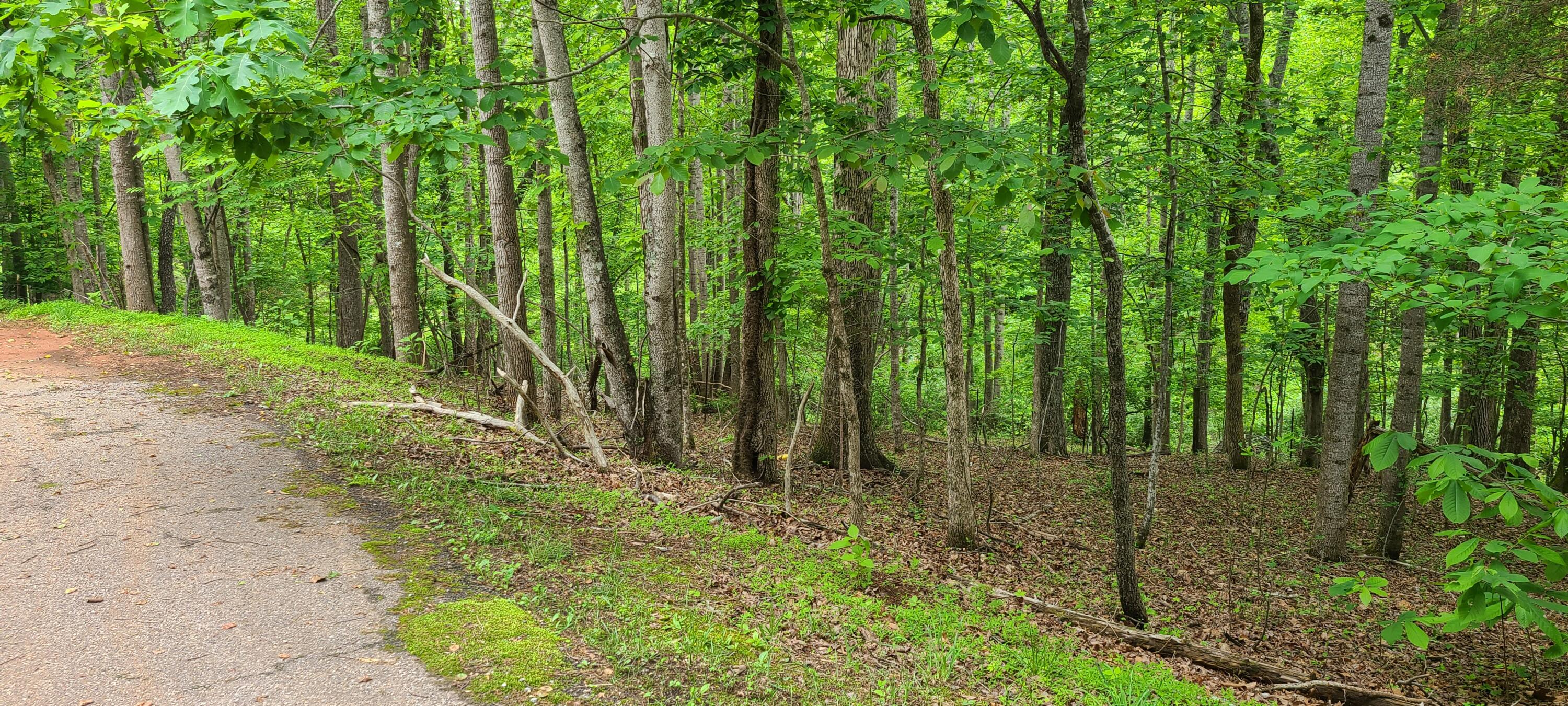 Lot 54 Old Barn Rd, Moneta, Virginia image 7