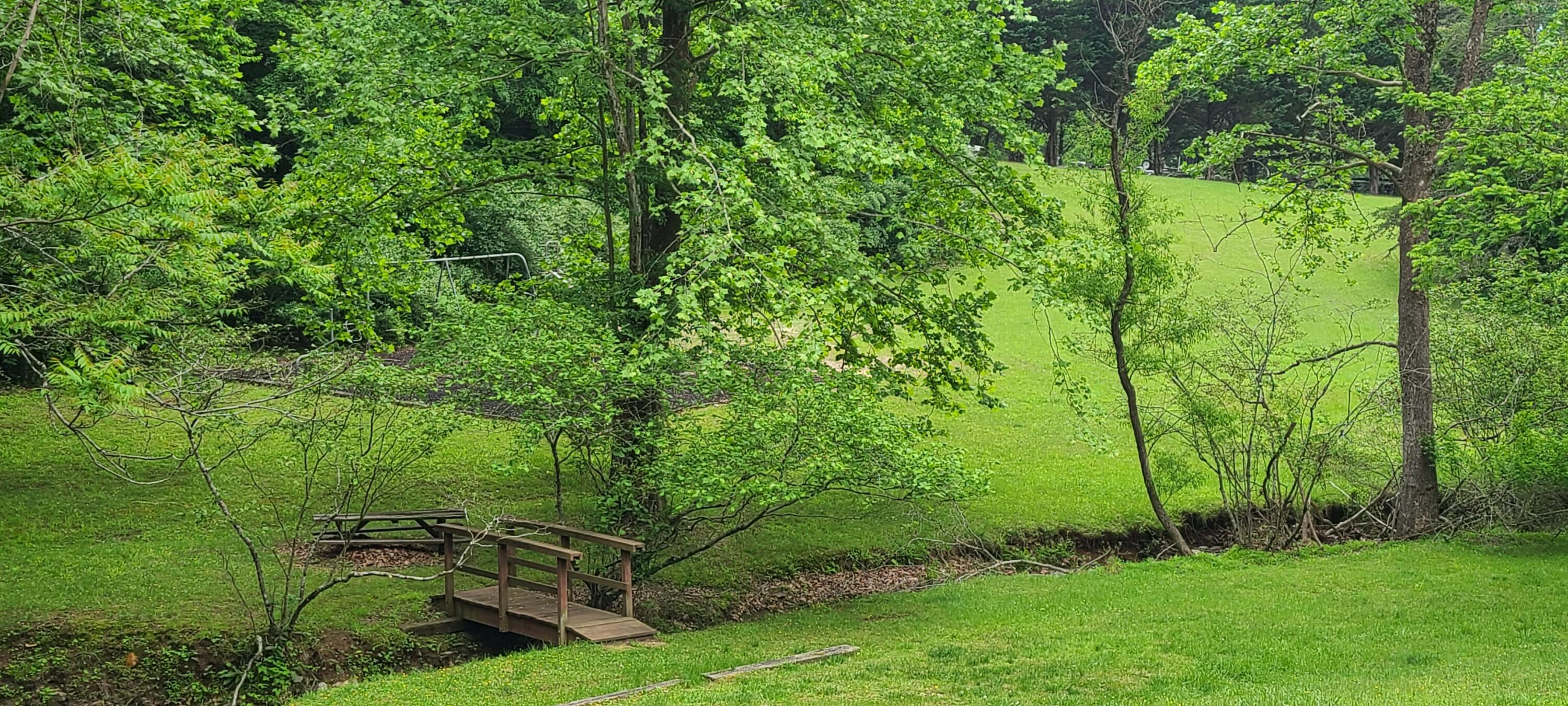 Lot 54 Old Barn Rd, Moneta, Virginia image 20