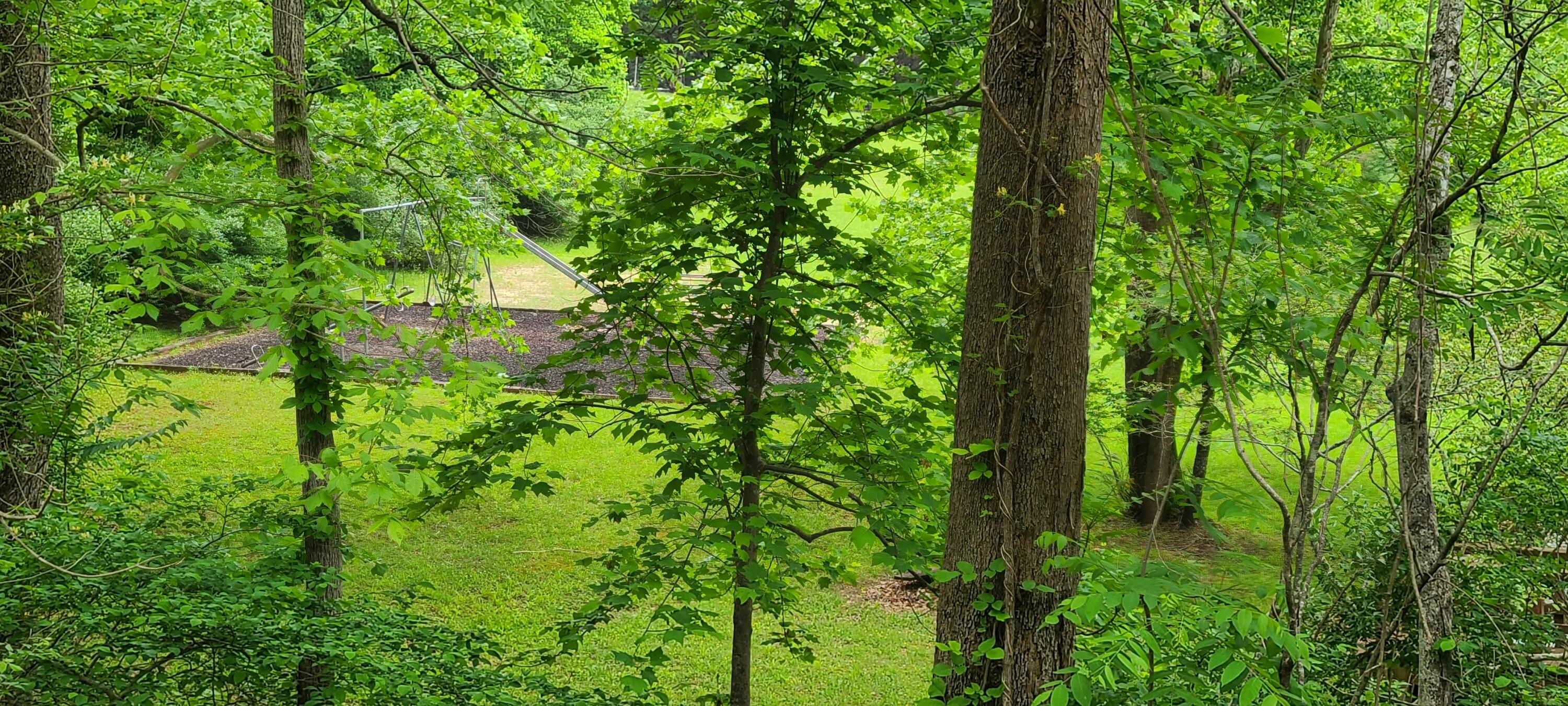 Lot 54 Old Barn Rd, Moneta, Virginia image 19