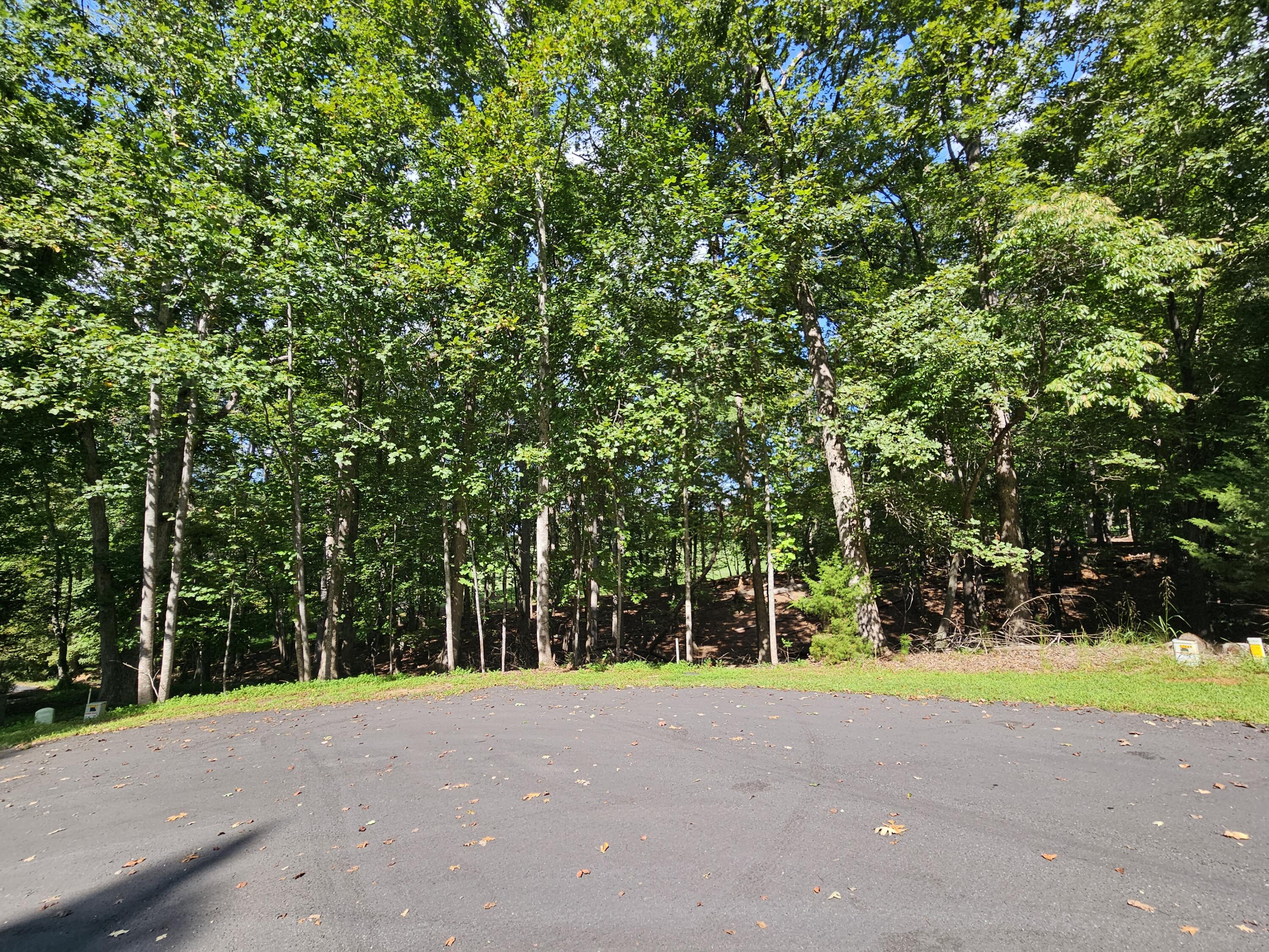 Lot 218A Hunterwood Cir, Penhook, Virginia image 3