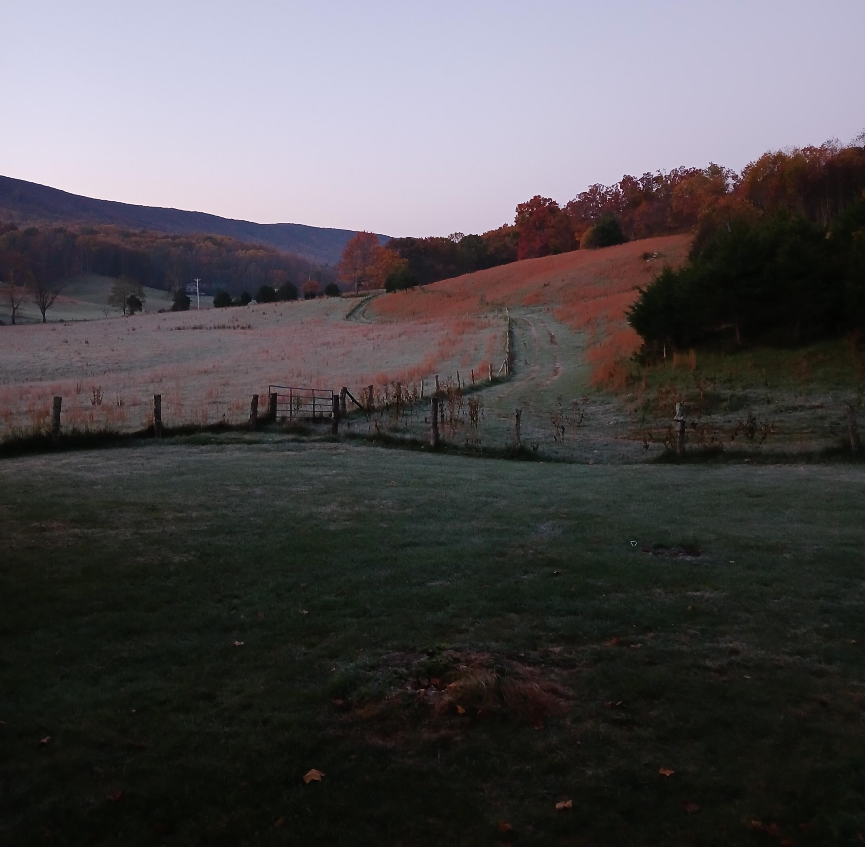 5110 Rich Patch Rd, Covington, Virginia image 16