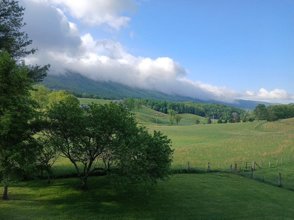 5110 Rich Patch Rd, Covington, Virginia image 9