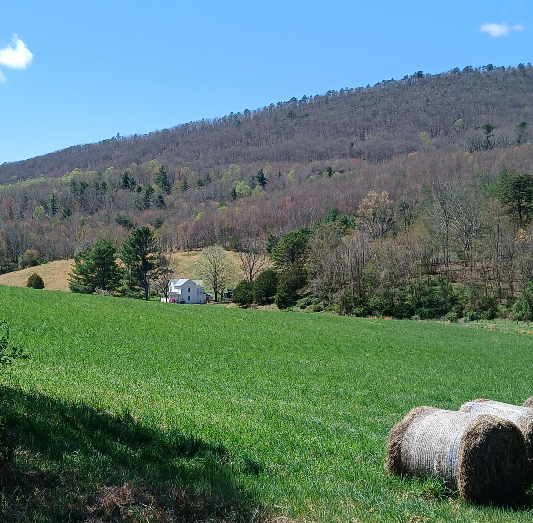 5110 Rich Patch Rd, Covington, Virginia image 17