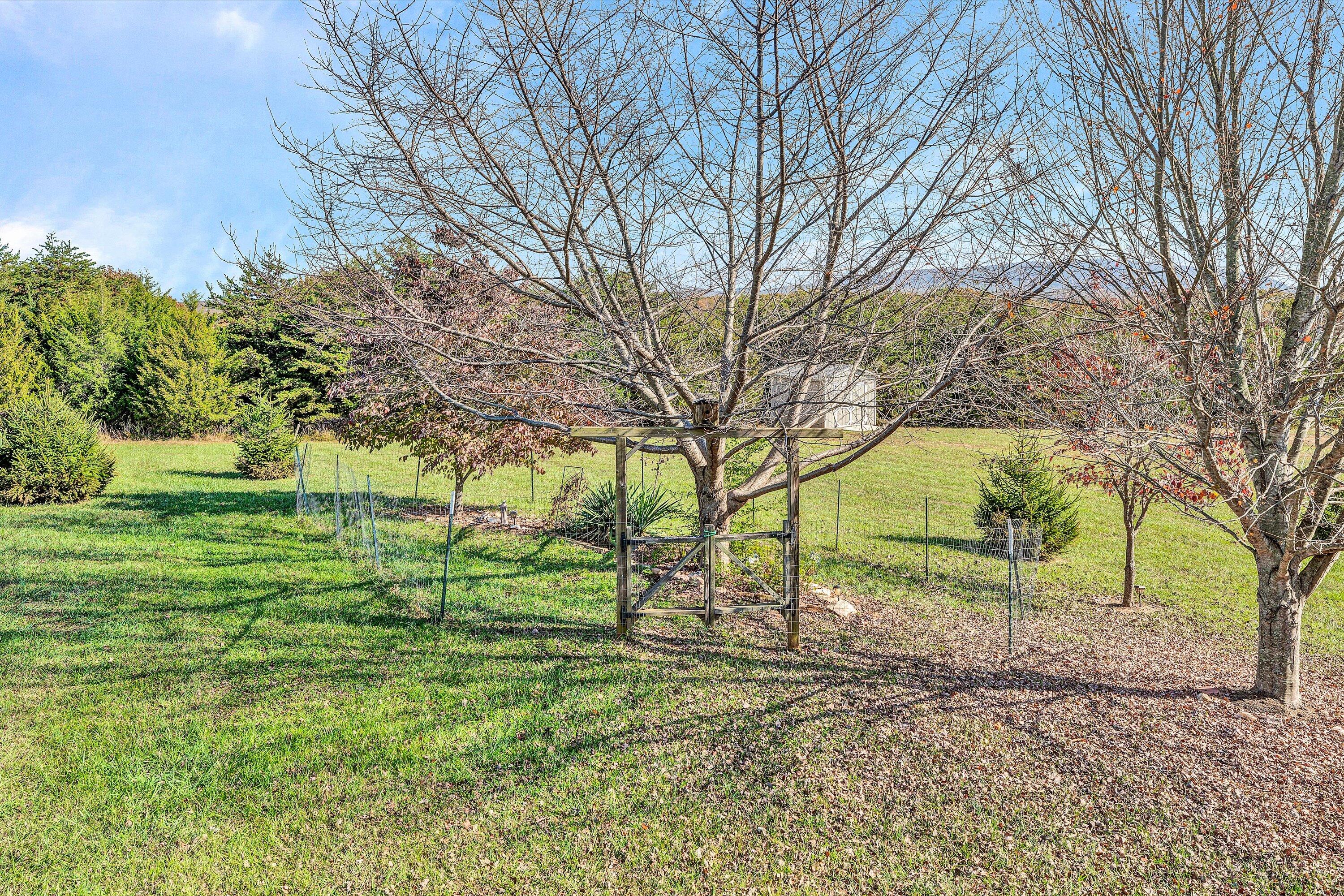 1103 Park Mountain Ter, Huddleston, Virginia image 9