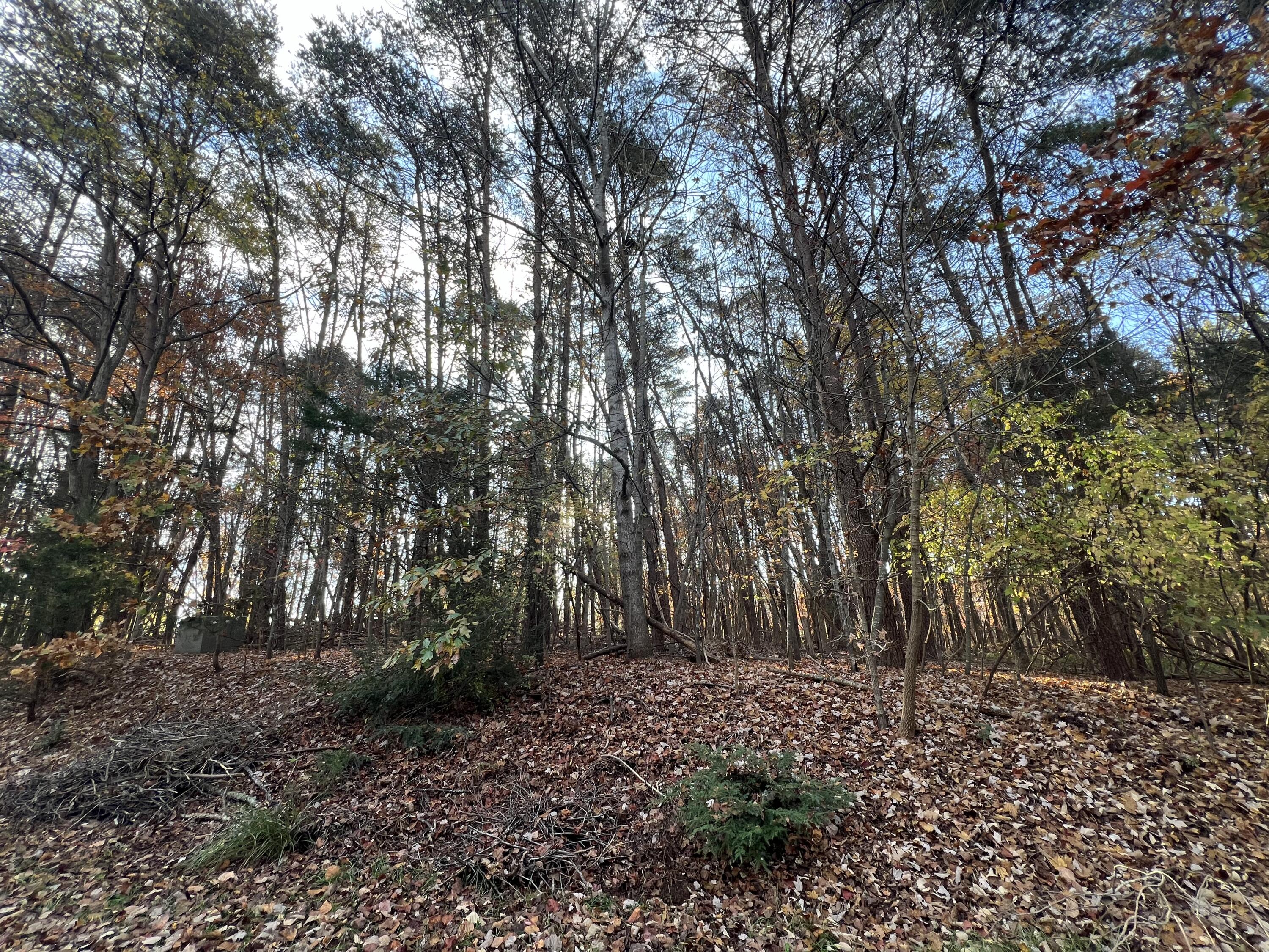 Lot 42 Anchor Dr, Moneta, Virginia image 9