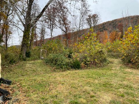 Vacant Land For Sale - 5829 Bradshaw Rd<br/> Salem, VA 24153