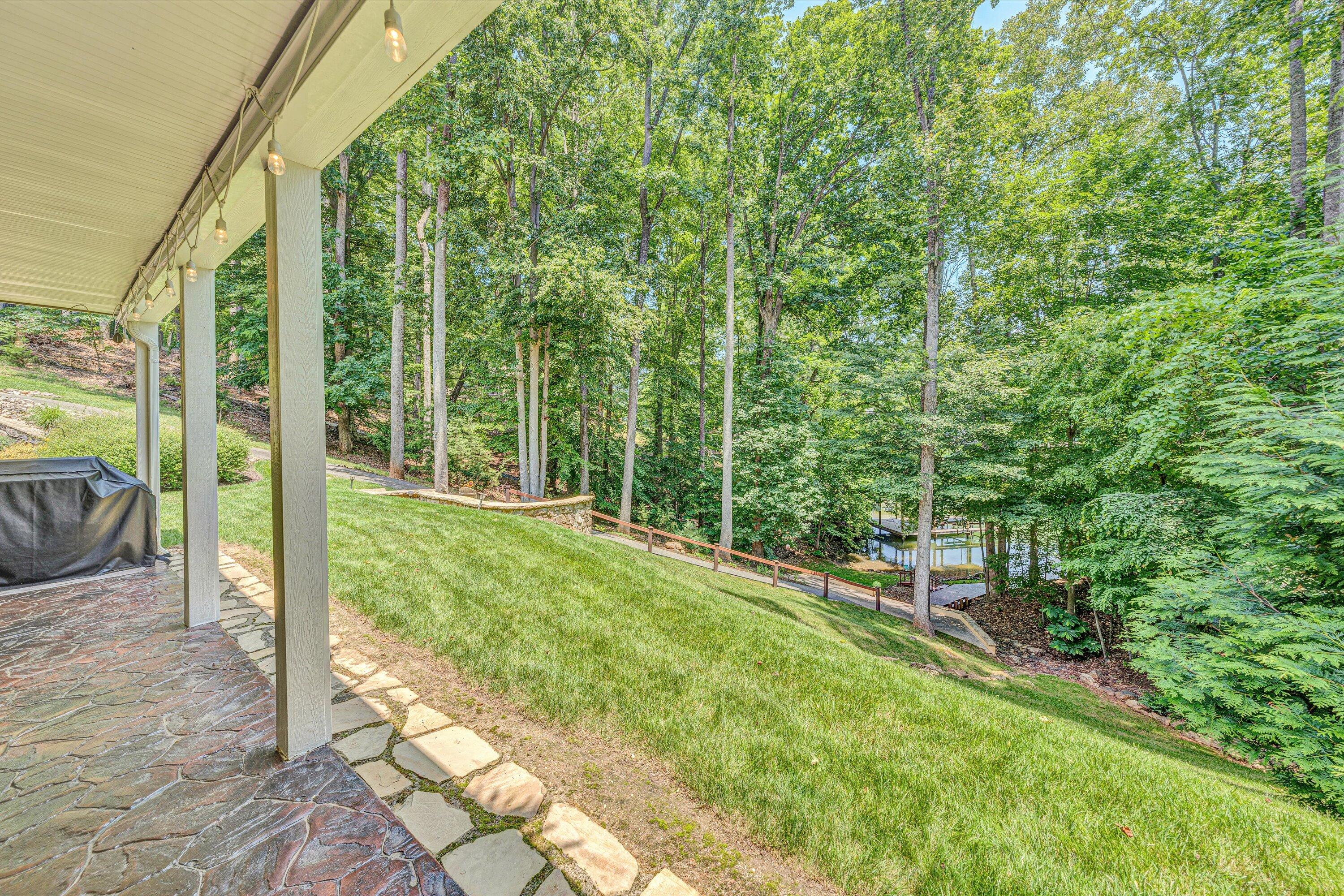 480 Winding Waters Dr, Moneta, Virginia image 50