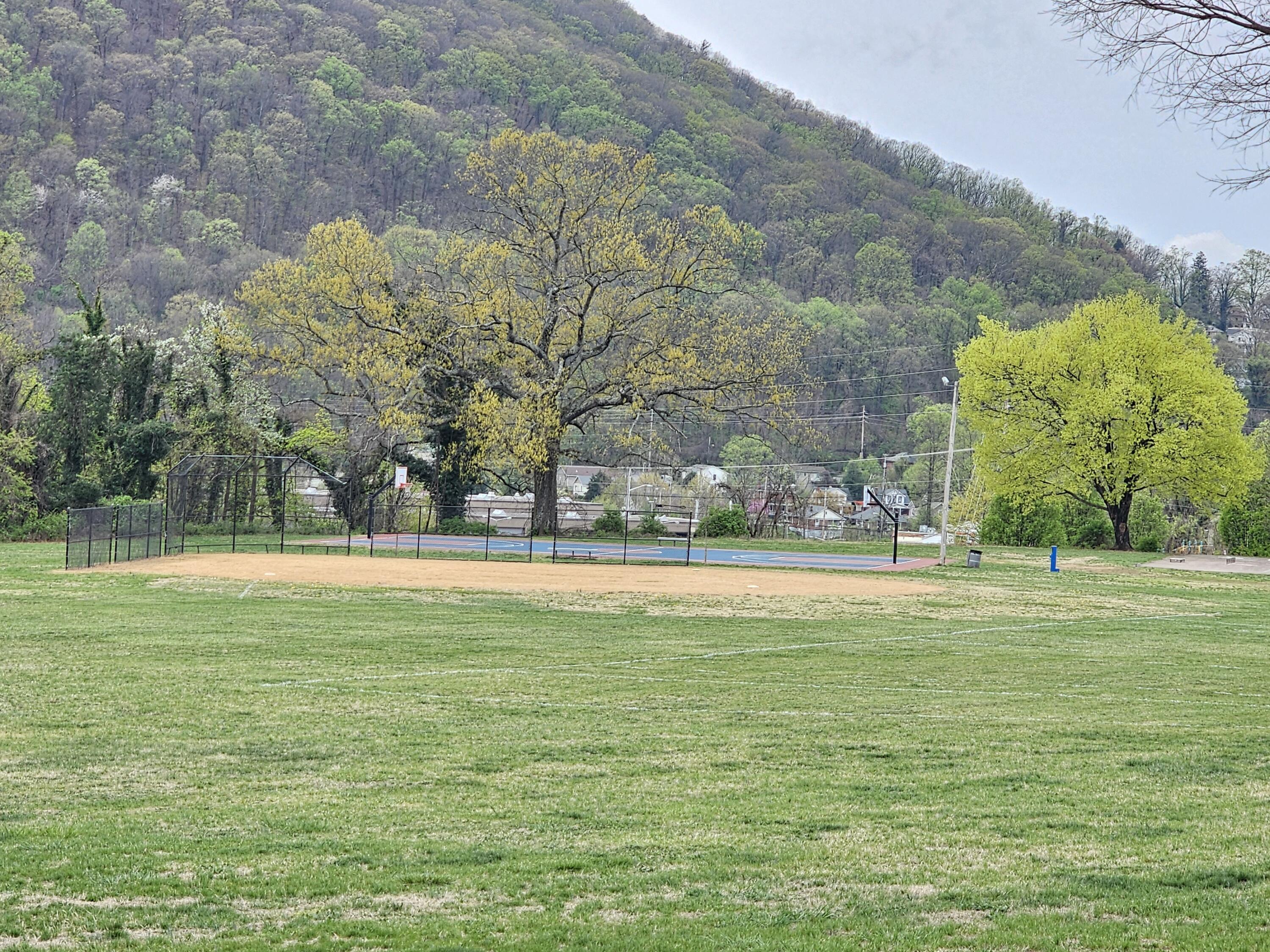 1201 Penrod Ave, Roanoke, Virginia image 20