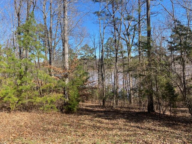 Lot 240 Clear Pointe Run, Lynch Station, Virginia image 5