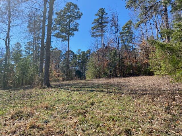 Lot 240 Clear Pointe Run, Lynch Station, Virginia image 6