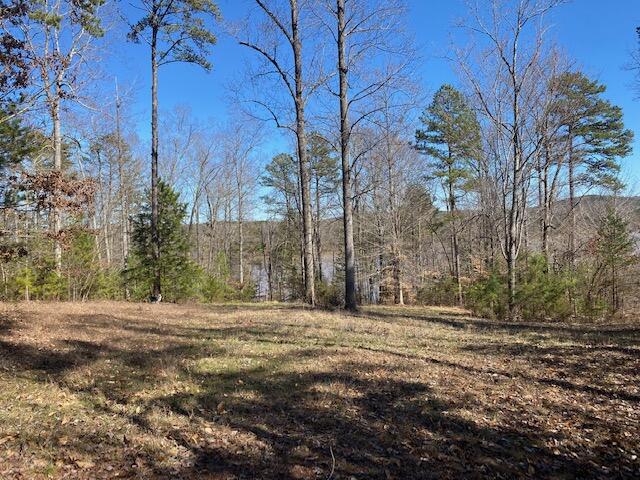 Lot 240 Clear Pointe Run, Lynch Station, Virginia image 7