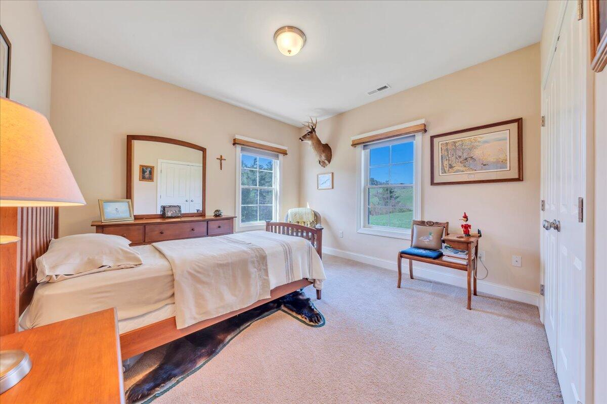 398 River Ridge Rd, Copper Hill, Virginia image 42