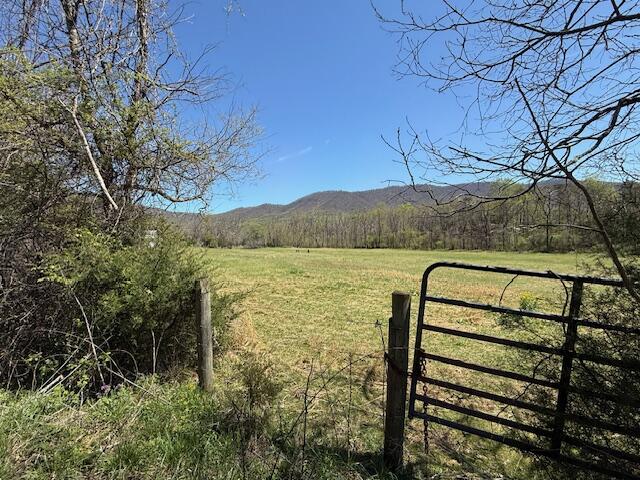 1333 Falling Leaf Ln, Montvale, Virginia image 38