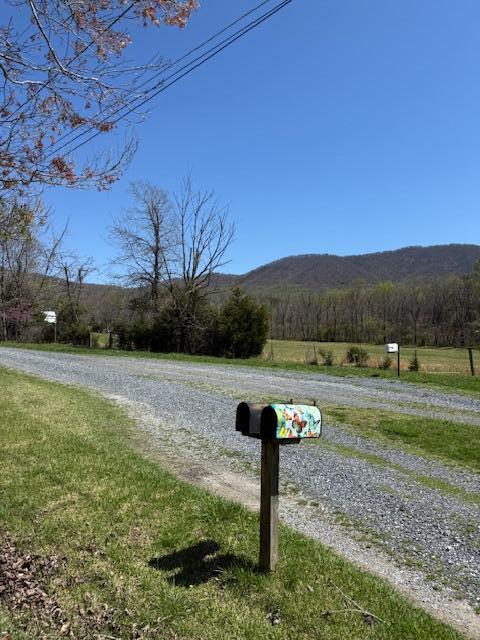 1333 Falling Leaf Ln, Montvale, Virginia image 30