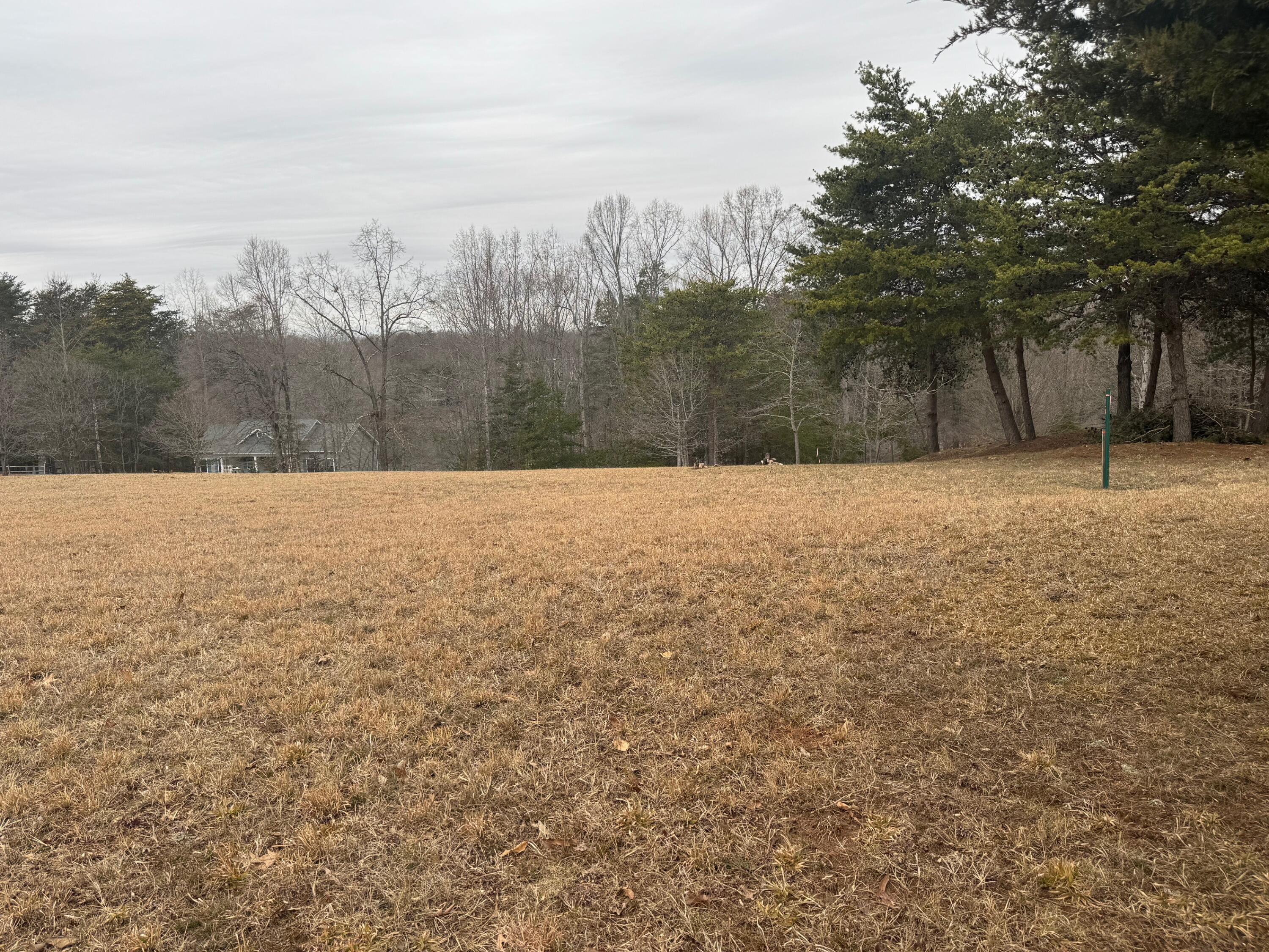 Lot 2 & 3 Buck Run Dr, Moneta, Virginia image 4