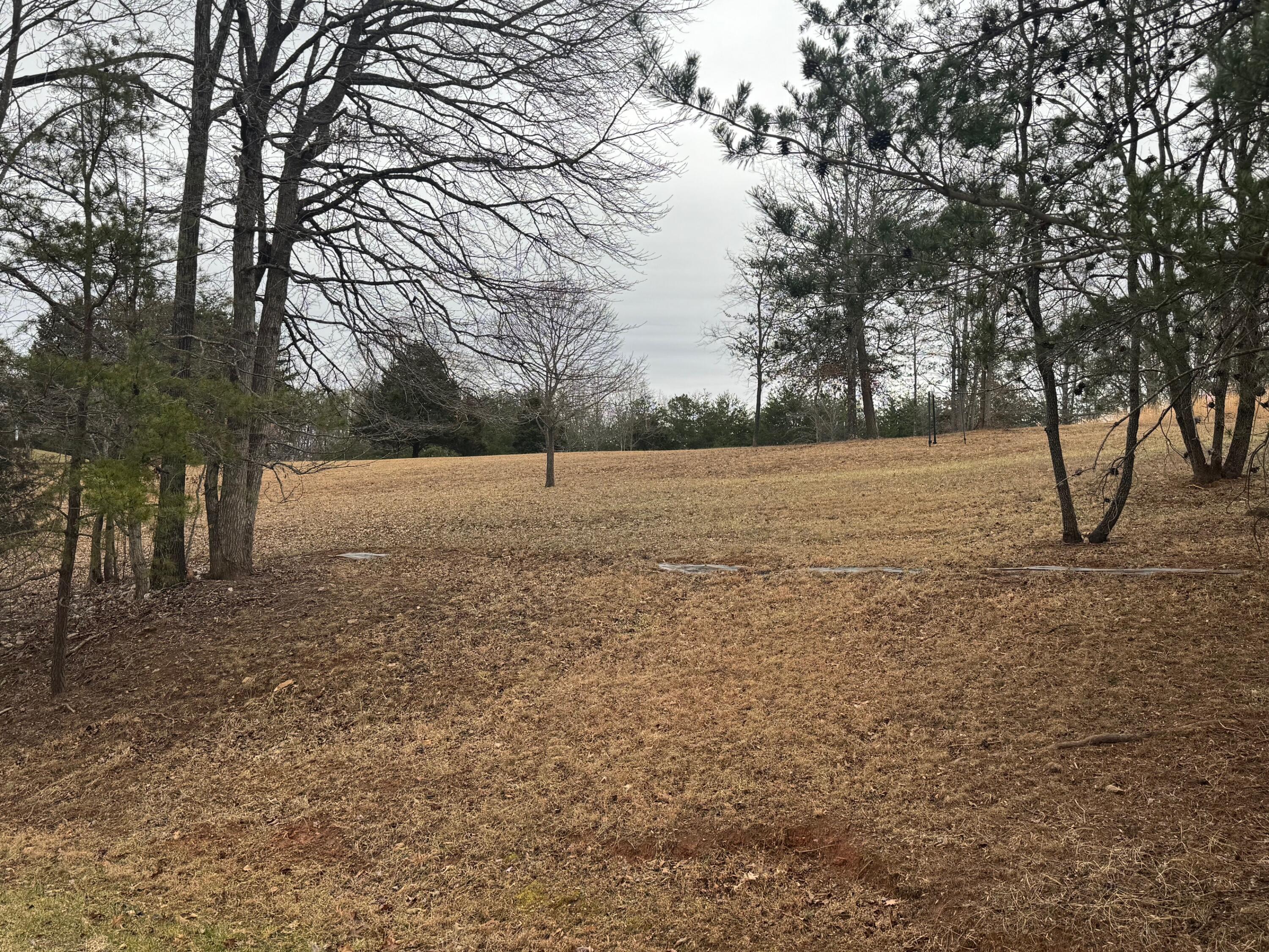 Lot 2 & 3 Buck Run Dr, Moneta, Virginia image 5