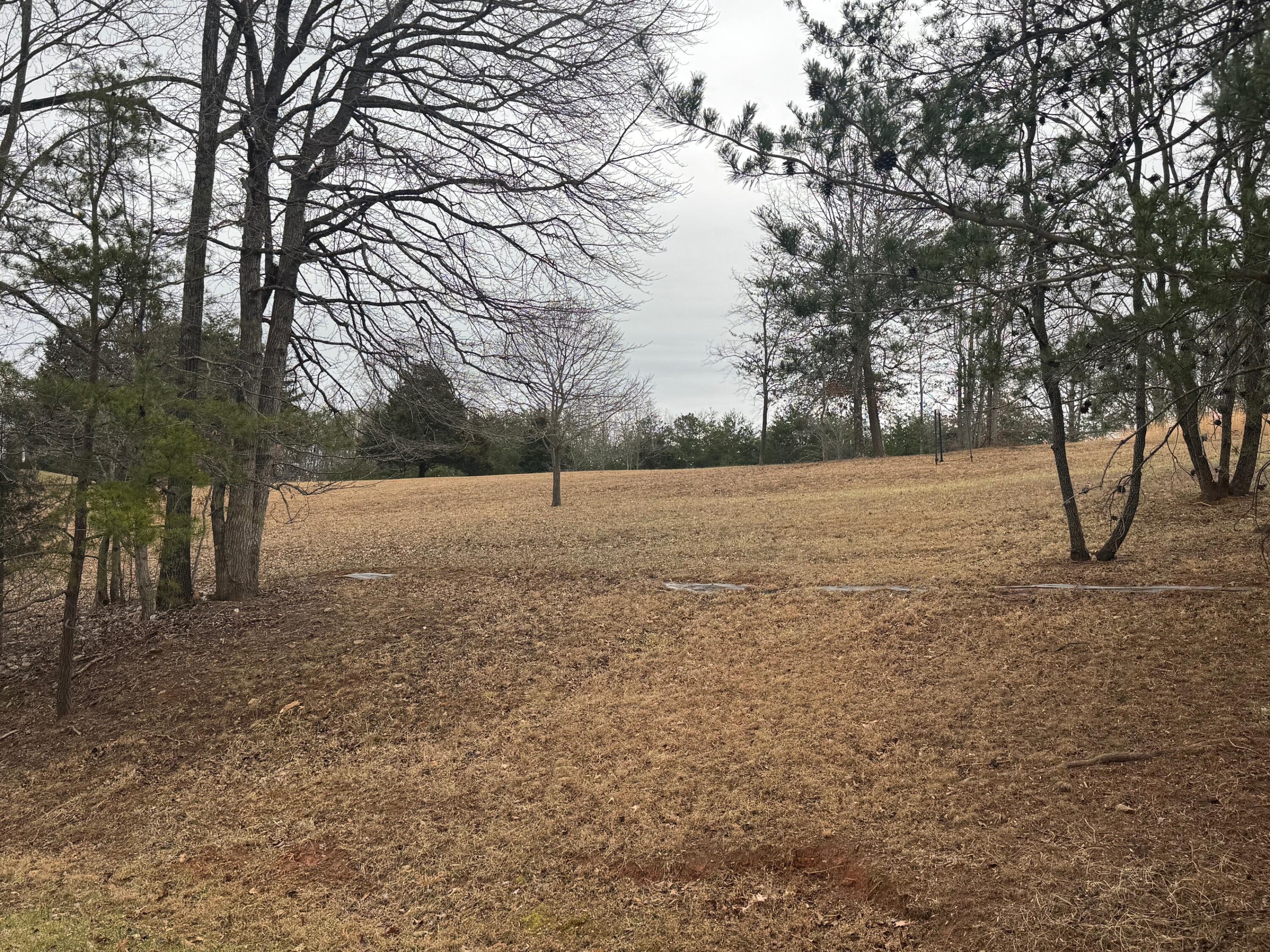 Lot 2 & 3 Buck Run Dr, Moneta, Virginia image 6