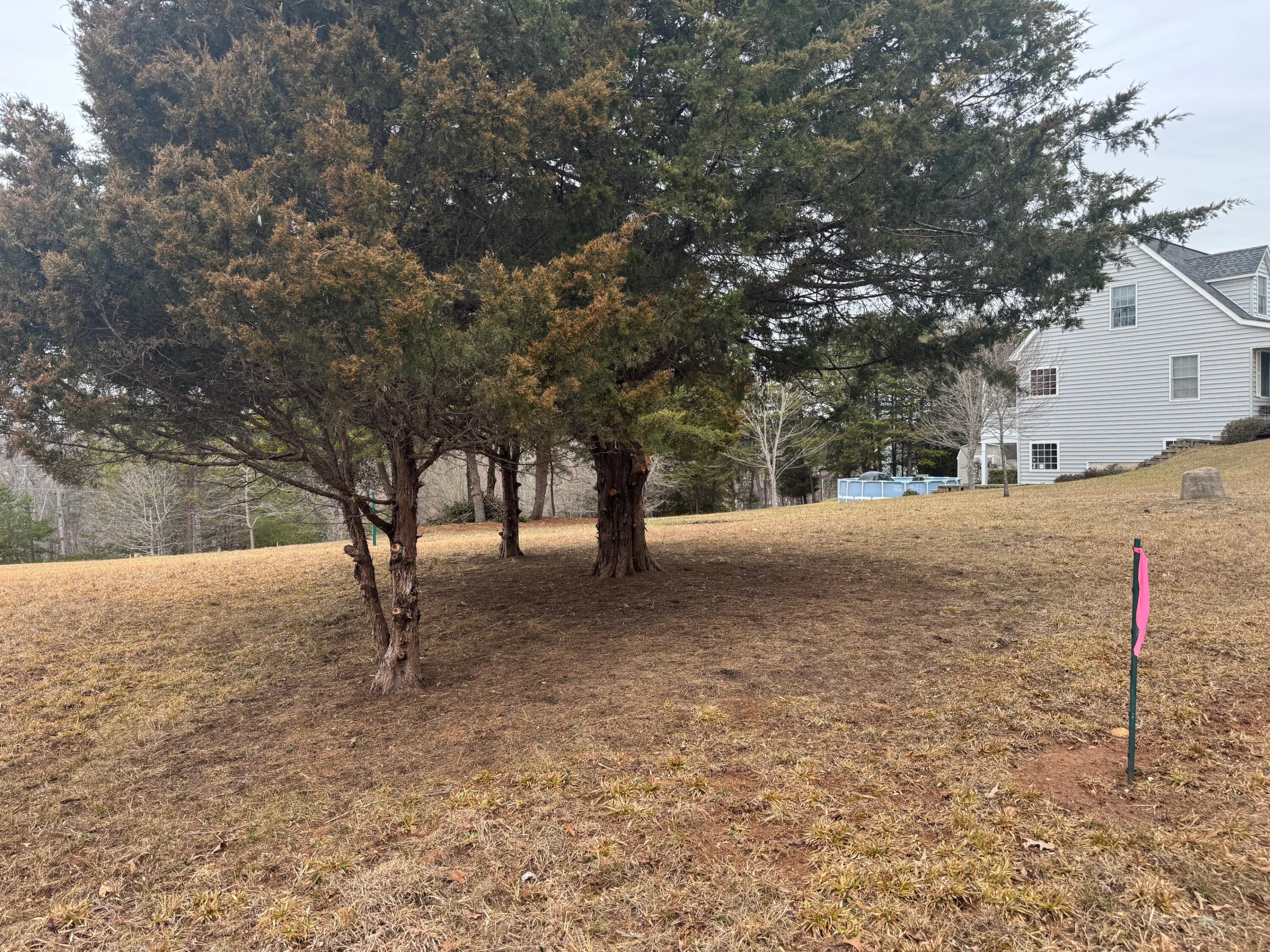 Lot 2 & 3 Buck Run Dr, Moneta, Virginia image 8