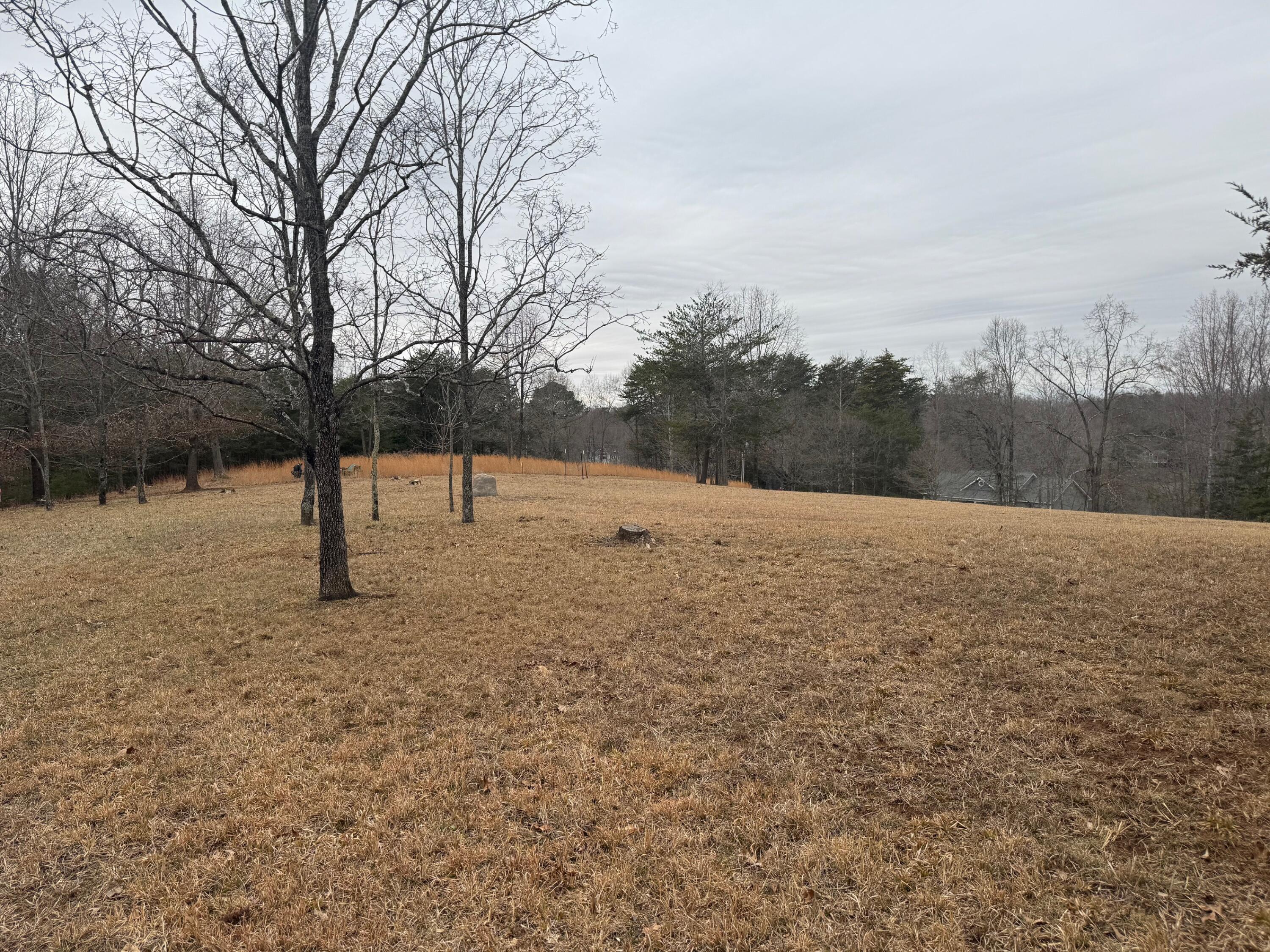 Lot 2 & 3 Buck Run Dr, Moneta, Virginia image 7