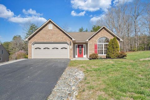 Homes For Sale - 204 Montgomery Farms Ave<br/> Moneta, VA 24121