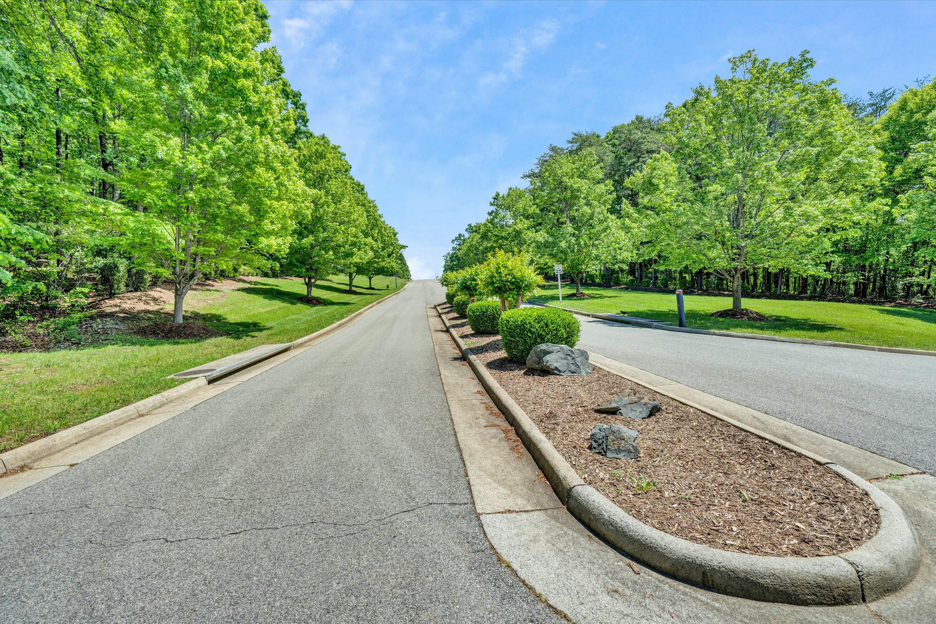 Lot 50 Summit Dr, Rocky Mount, Virginia image 7