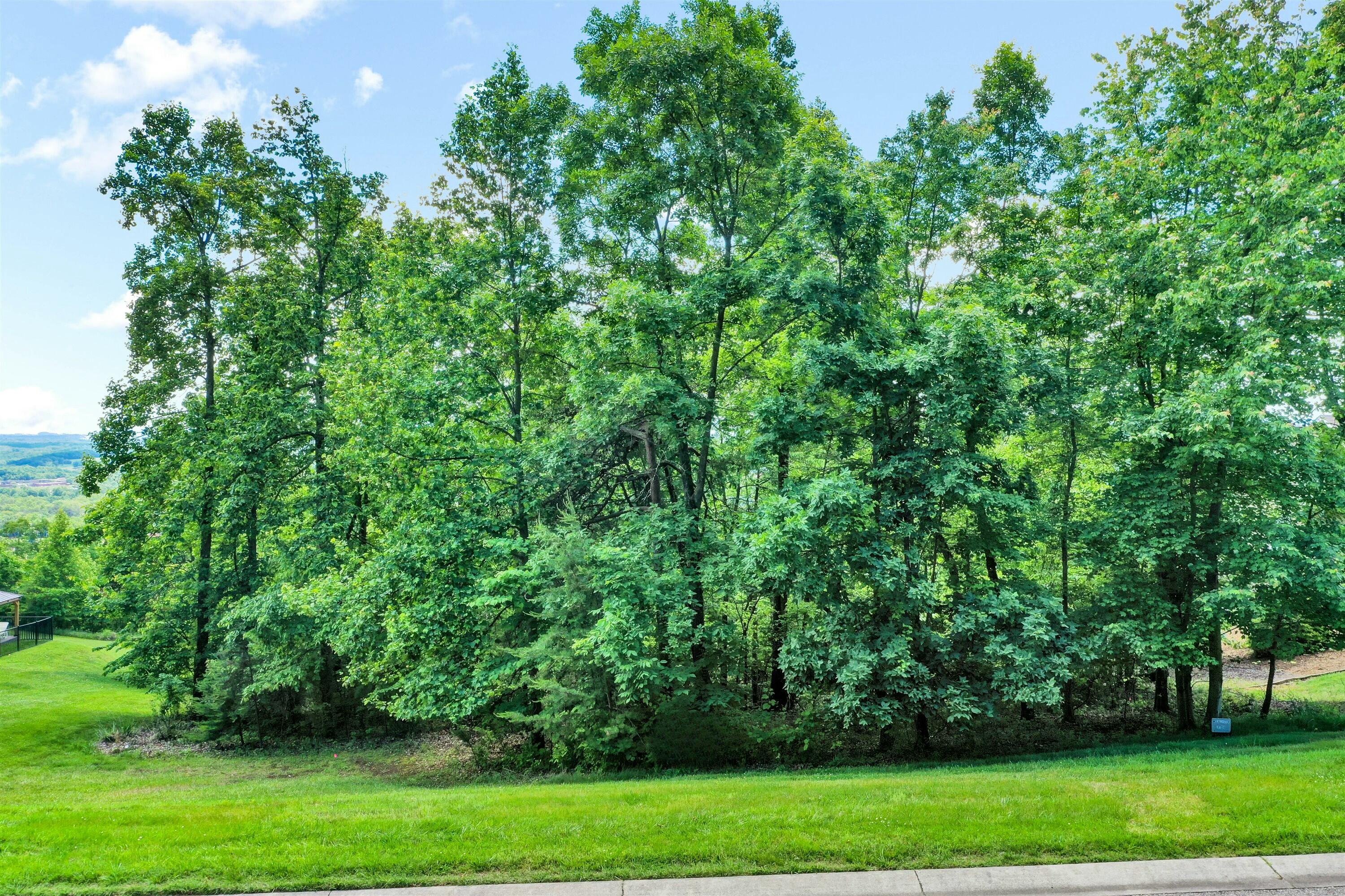 Lot 50 Summit Dr, Rocky Mount, Virginia image 1