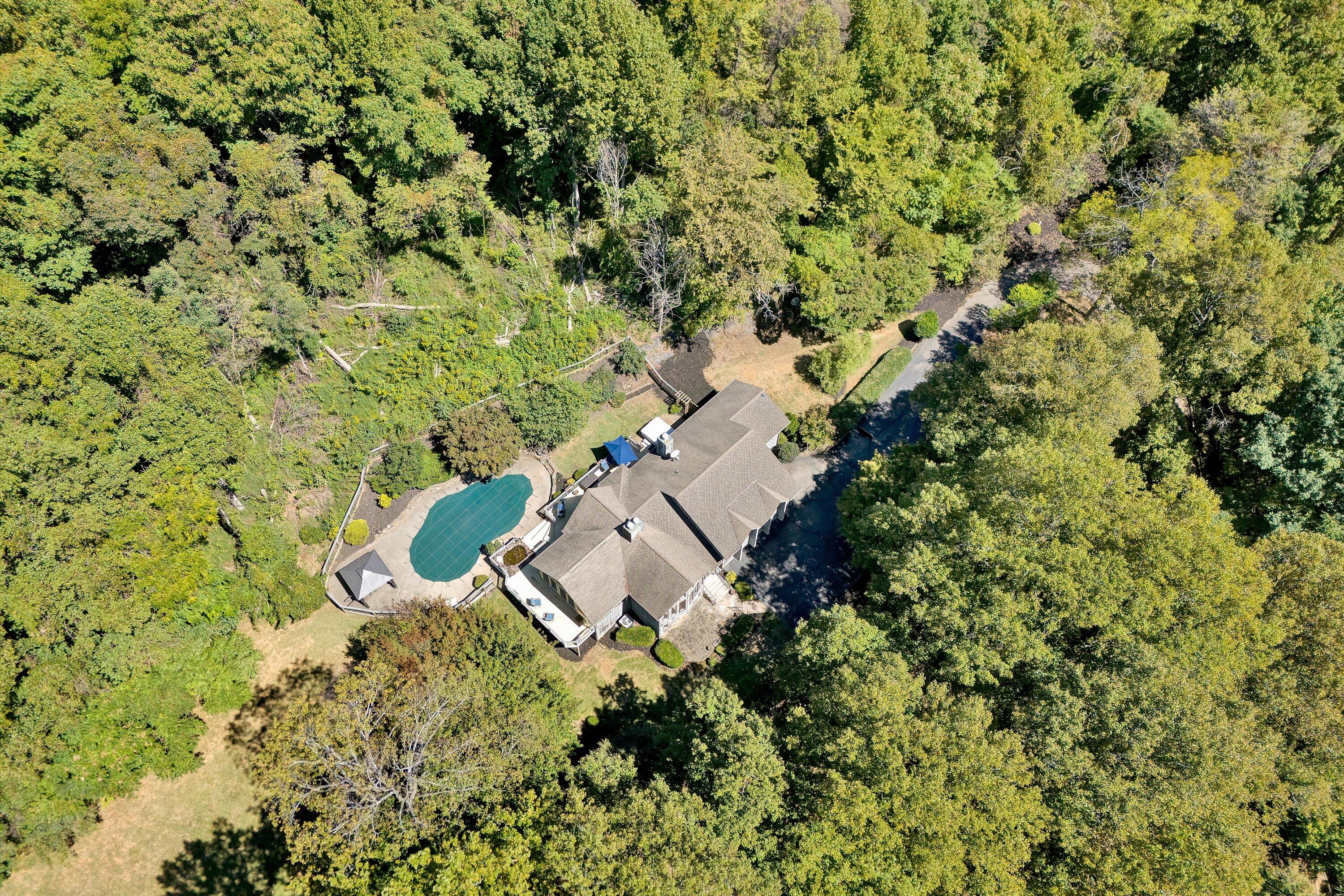 2647 Porters Mountain Rd, Blue Ridge, Virginia image 47