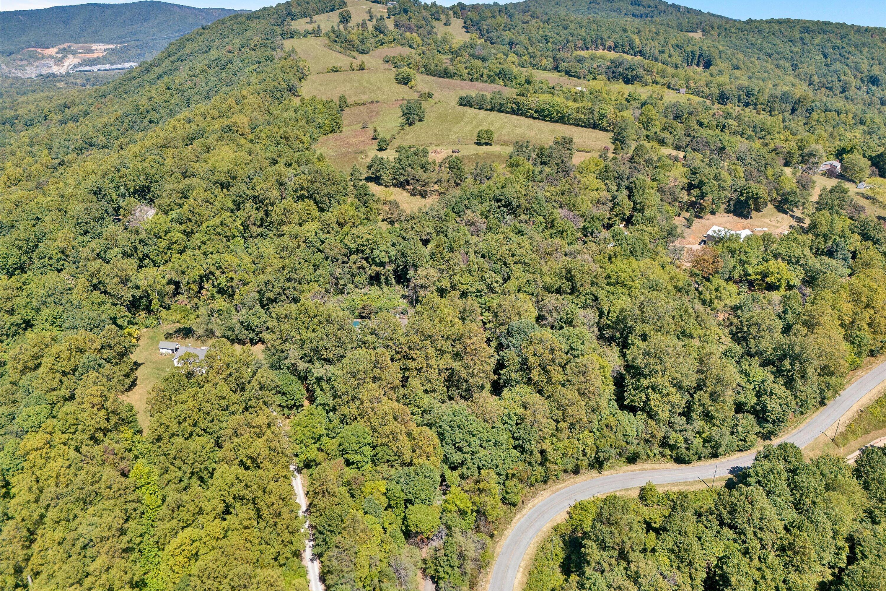 2647 Porters Mountain Rd, Blue Ridge, Virginia image 49