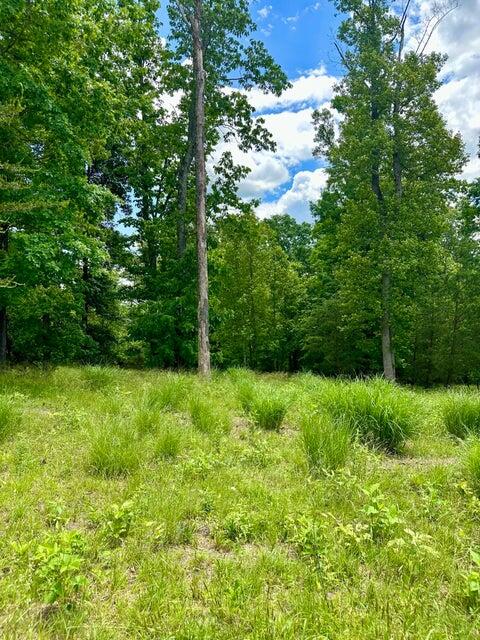 Lot 29 Commonwealth Dr, Hardy, Virginia image 1