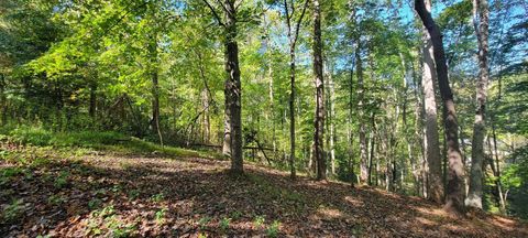 Vacant Land For Sale - LOT 56 Summer House Dr<br/> Franklin County, Hardy, VA 24101