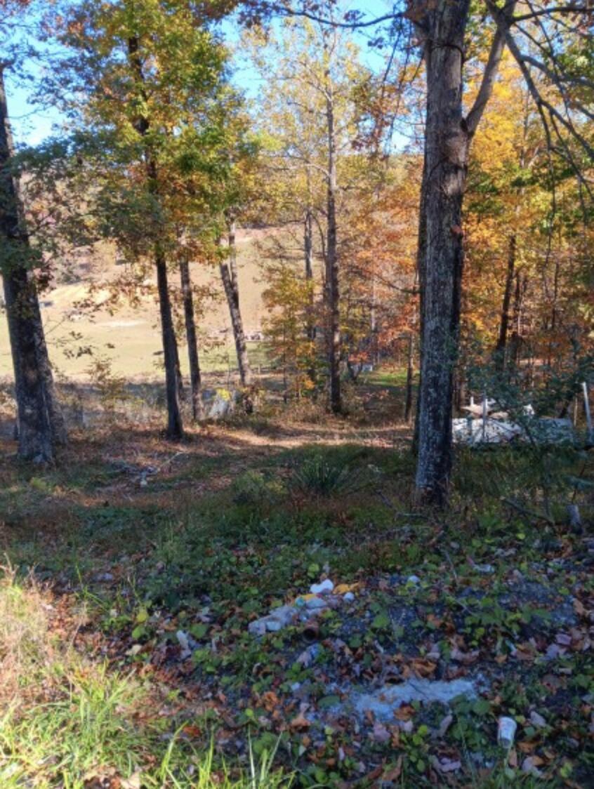 7829 Bending Oak Dr, Catawba, Virginia image 2