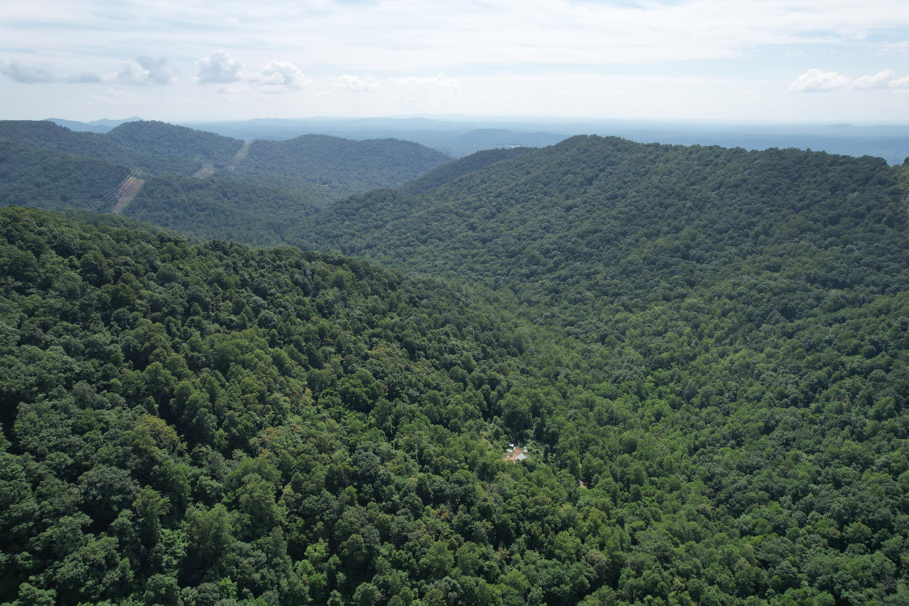 2550 Shooting Creek Rd, Ferrum, Virginia image 2