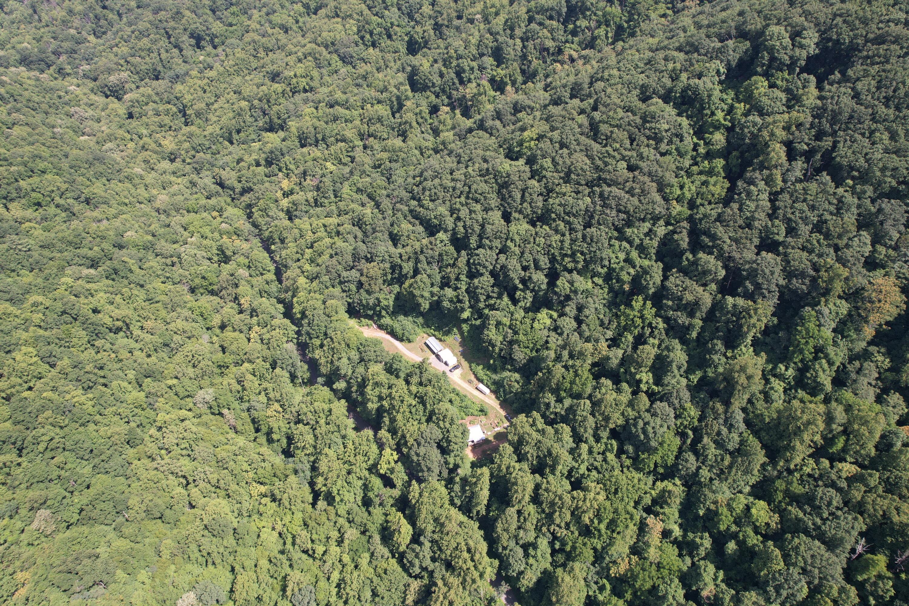 2550 Shooting Creek Rd, Ferrum, Virginia image 12