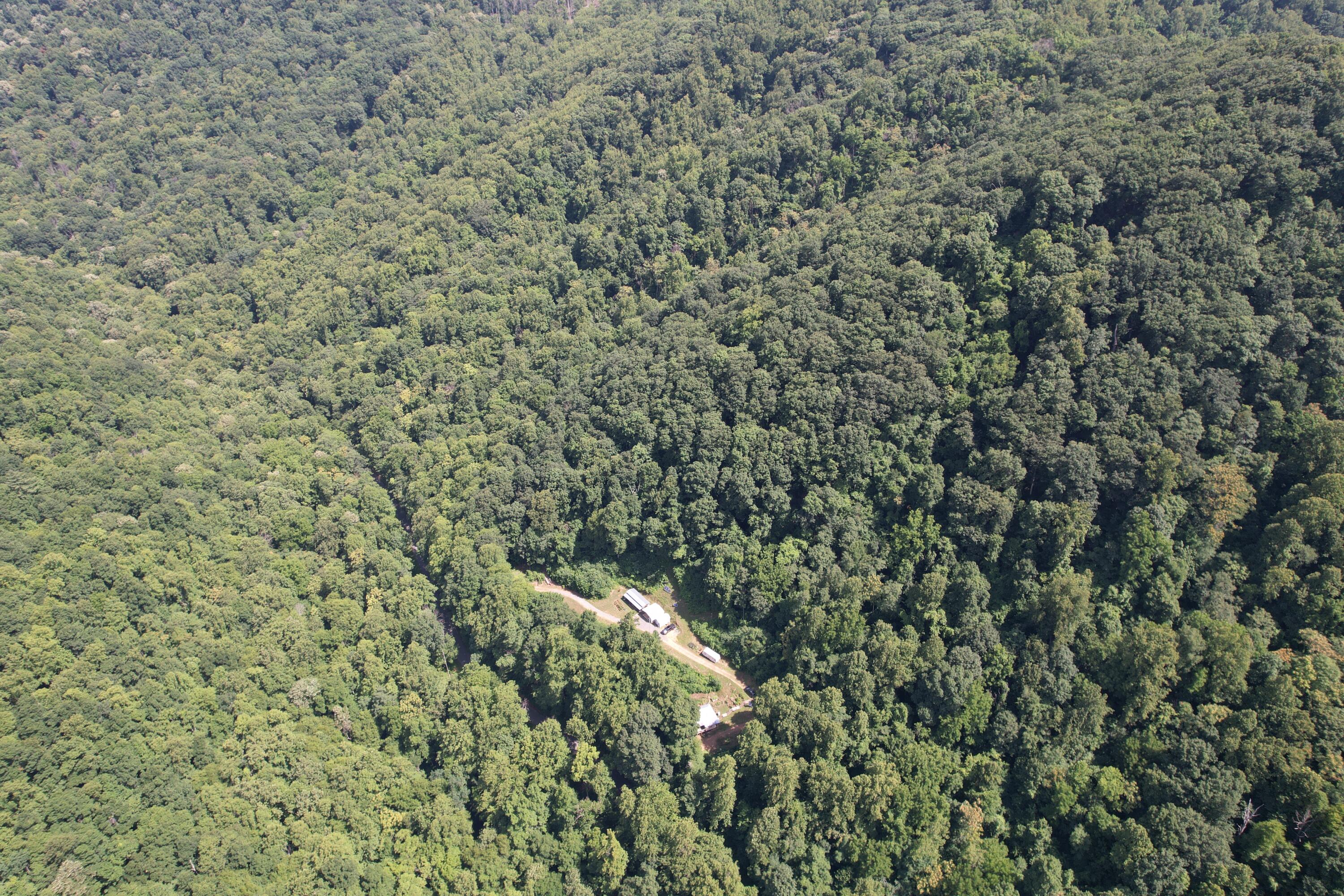 2550 Shooting Creek Rd, Ferrum, Virginia image 11