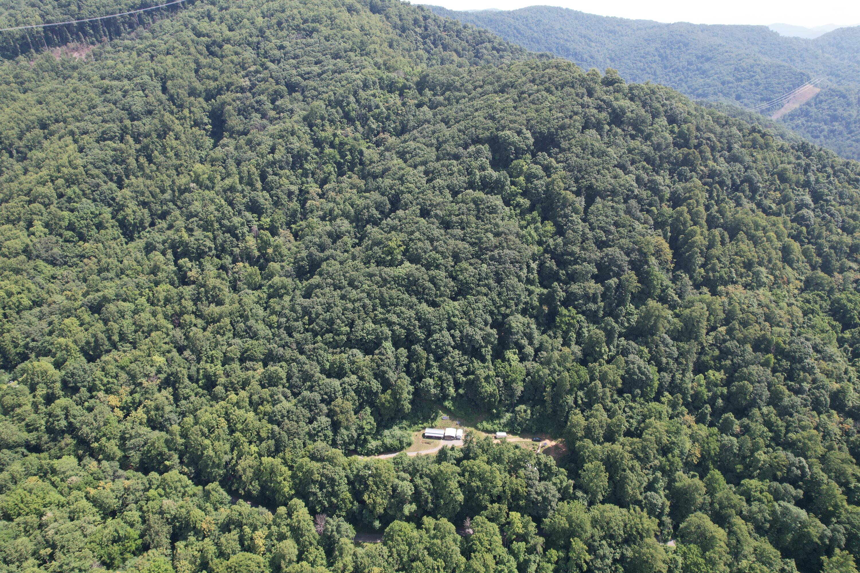 2550 Shooting Creek Rd, Ferrum, Virginia image 10