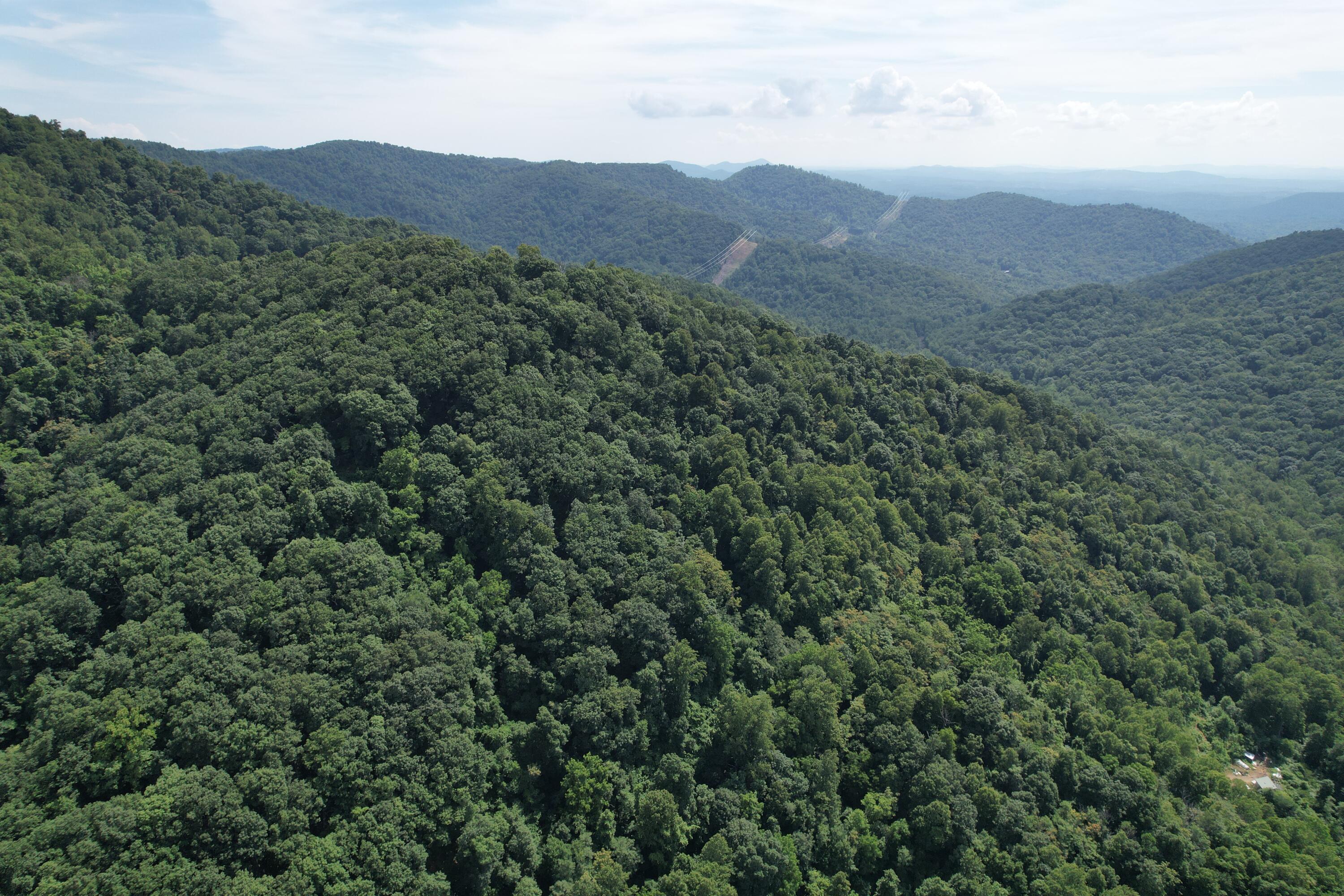 2550 Shooting Creek Rd, Ferrum, Virginia image 4
