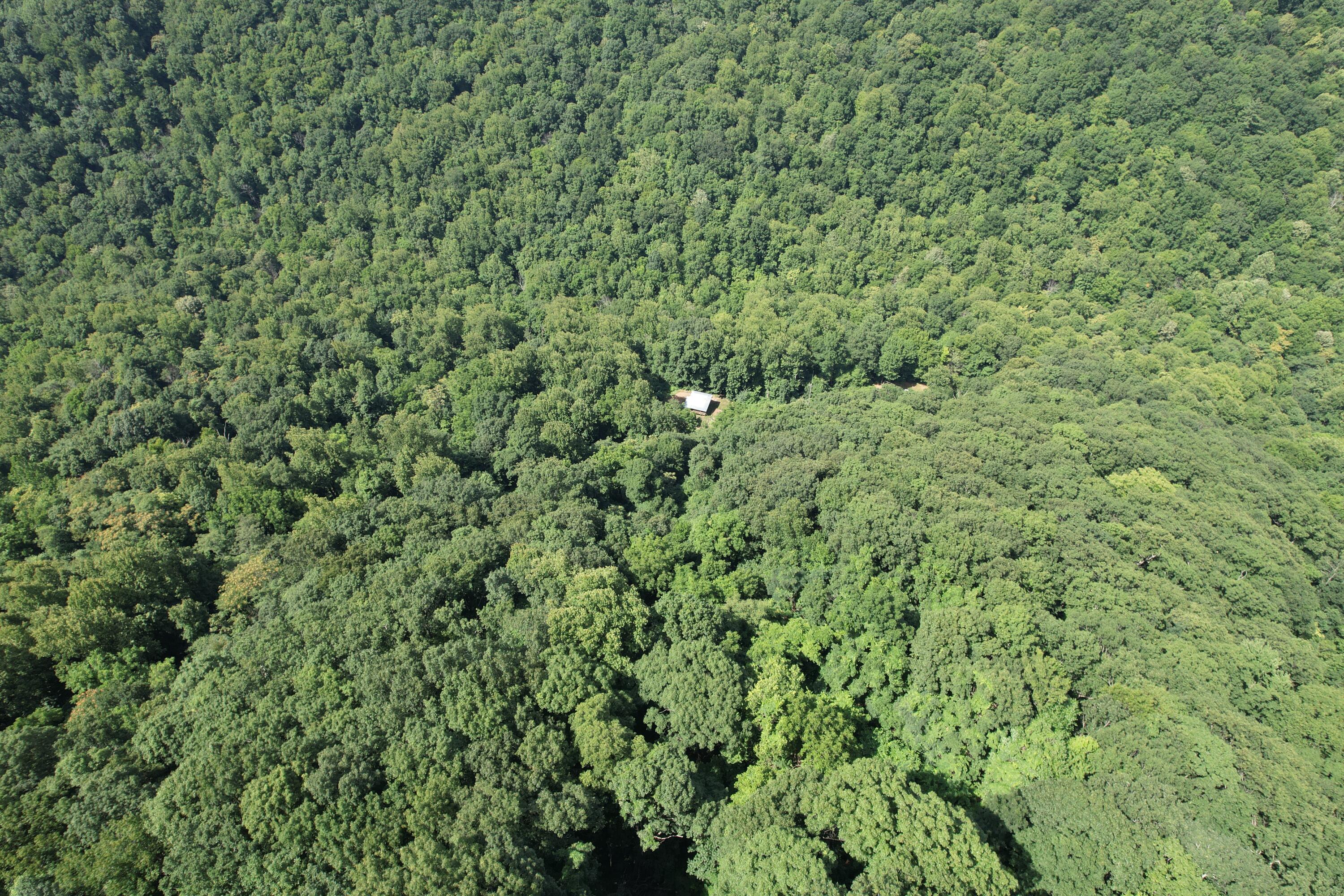 2550 Shooting Creek Rd, Ferrum, Virginia image 7