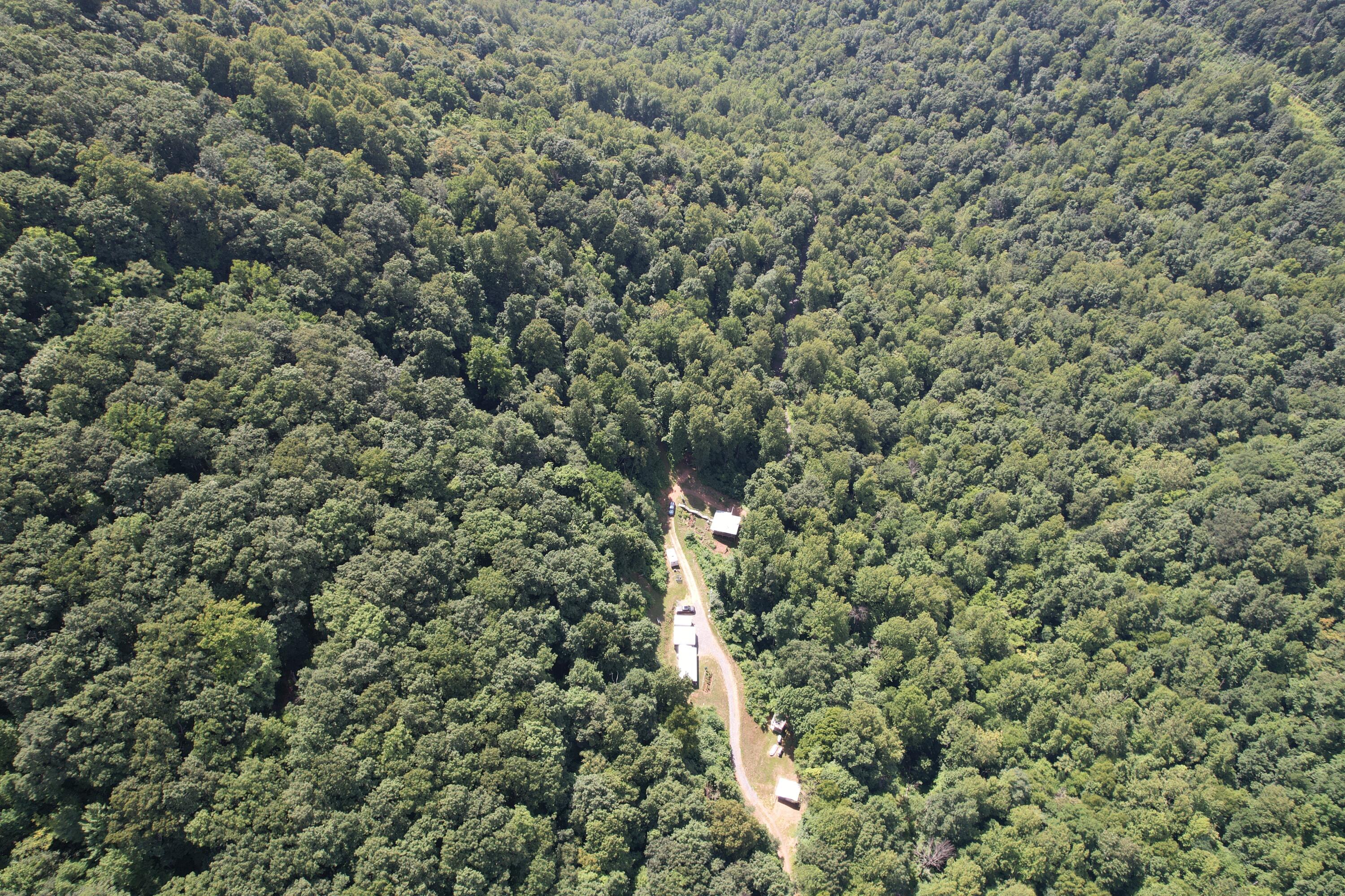2550 Shooting Creek Rd, Ferrum, Virginia image 8