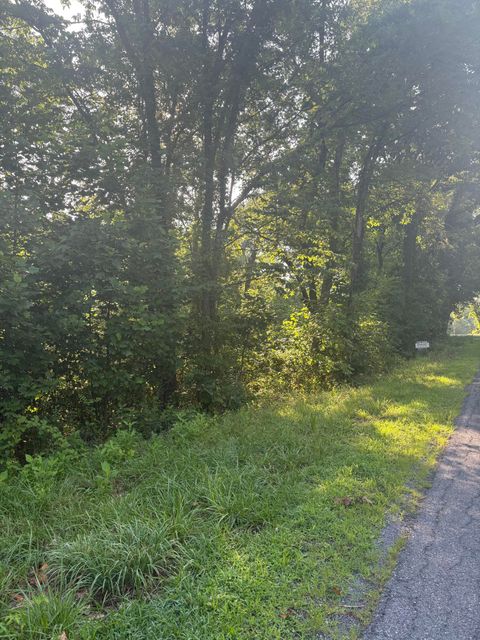 Vacant Land For Sale - Oak Ridge Rd<br/> Buchanan, VA 24066