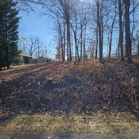 Vacant Land For Sale - LOT 59 Macgregor Dr<br/> Blue Ridge, VA 24064