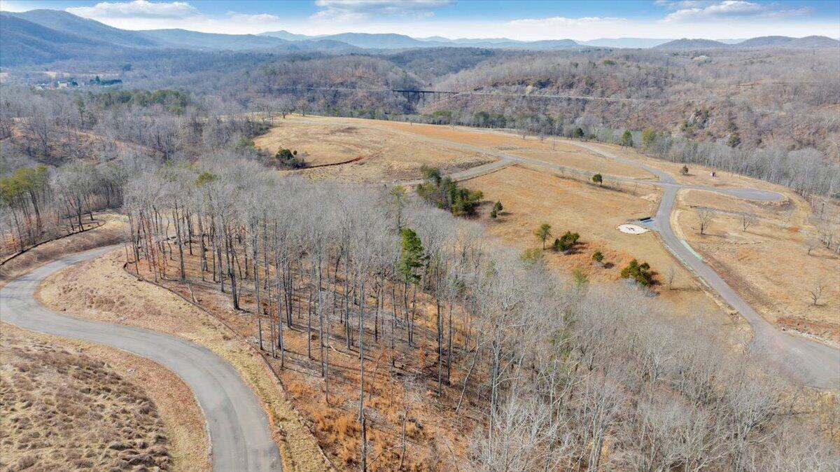 Lot 40 Pearl Dr, Hardy, Virginia image 13