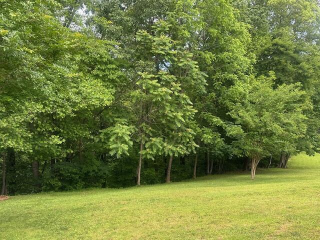 586 Graceland Dr, Bassett, Virginia image 35