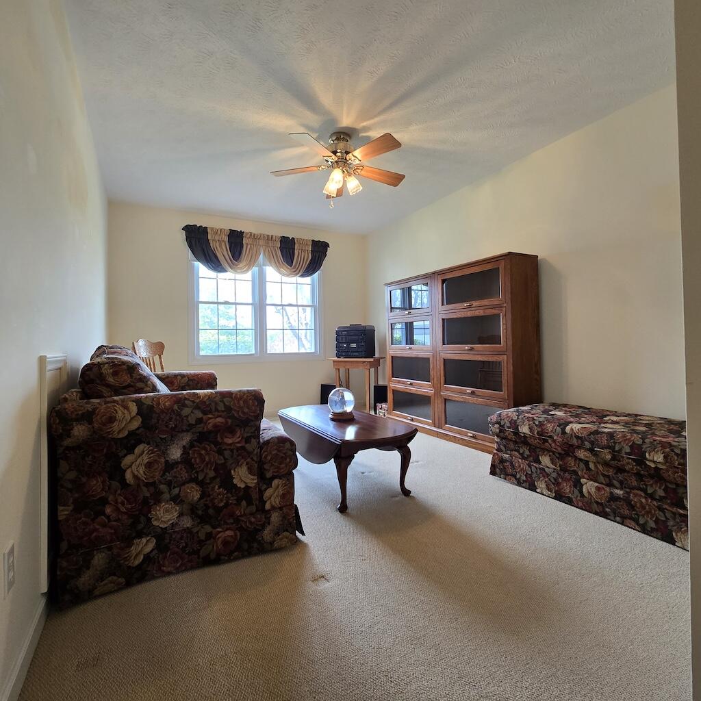 222 Tise St, Floyd, Virginia image 23