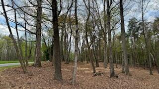Lot 291 Dormie Ln, Penhook, Virginia image 1