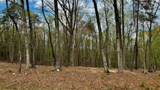 Lot 291 Dormie Ln, Penhook, Virginia image 2