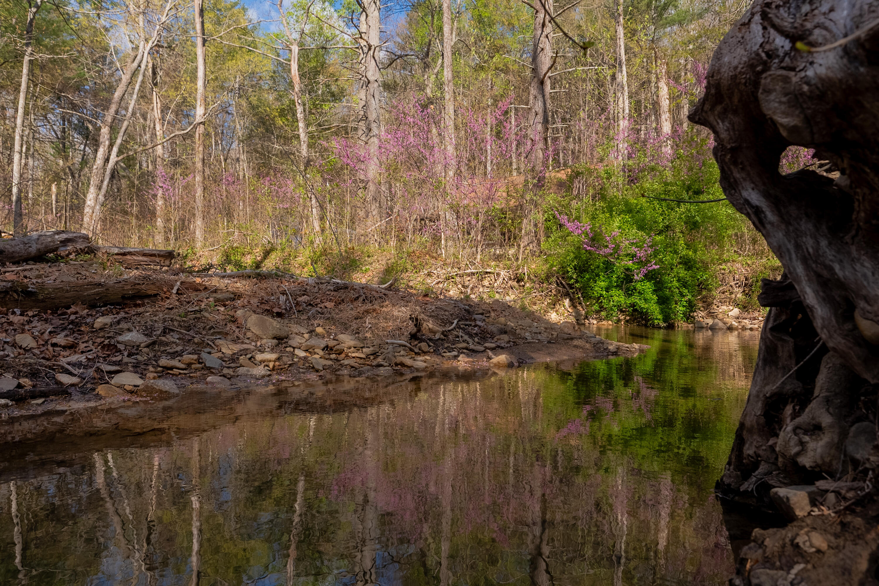 6071 Bradshaw Rd, Salem, Virginia image 35