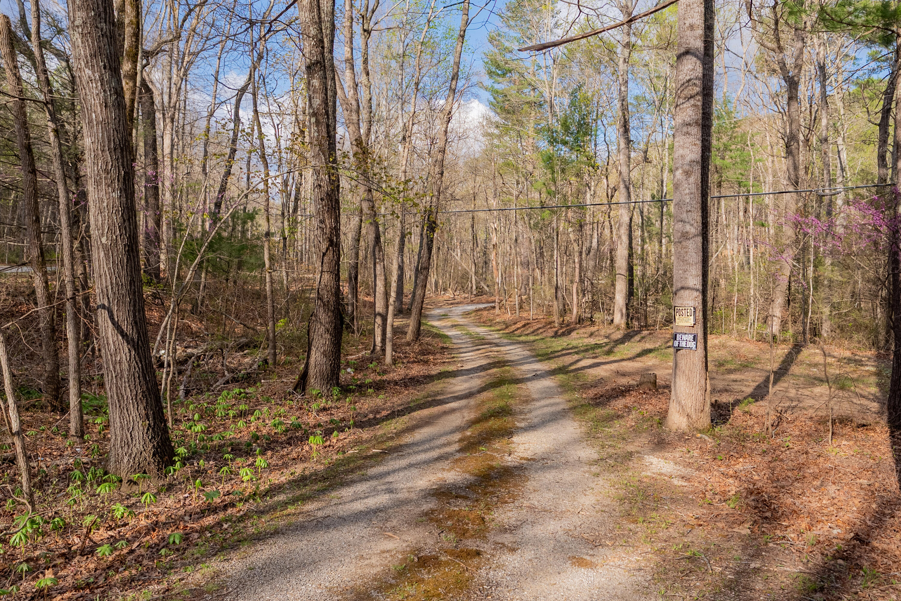 6071 Bradshaw Rd, Salem, Virginia image 38