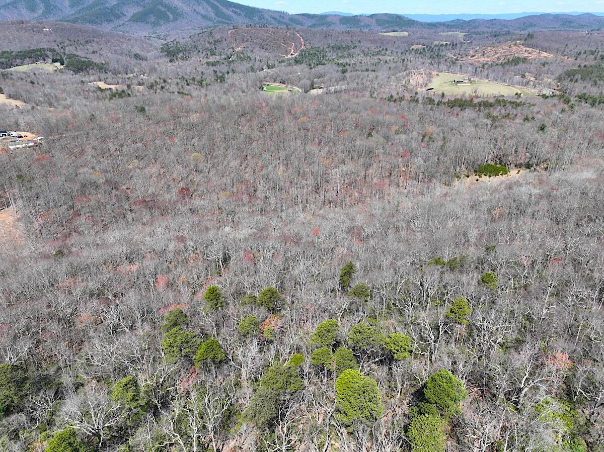 Blueberry Ln, Patrick Springs, Virginia image 18