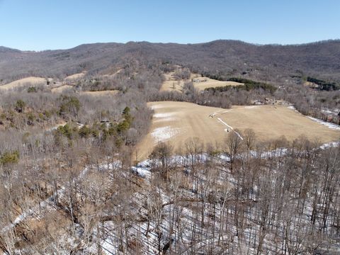 Vacant Land For Sale - Stevens Chapel Rd<br/> Blue Ridge, VA 24064